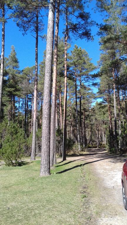 Roosi Holiday Home Rannaküla Dış mekan fotoğraf
